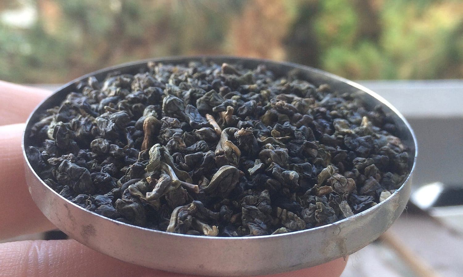 Dong Ding Oolong: Taiwan's Roasted Classic