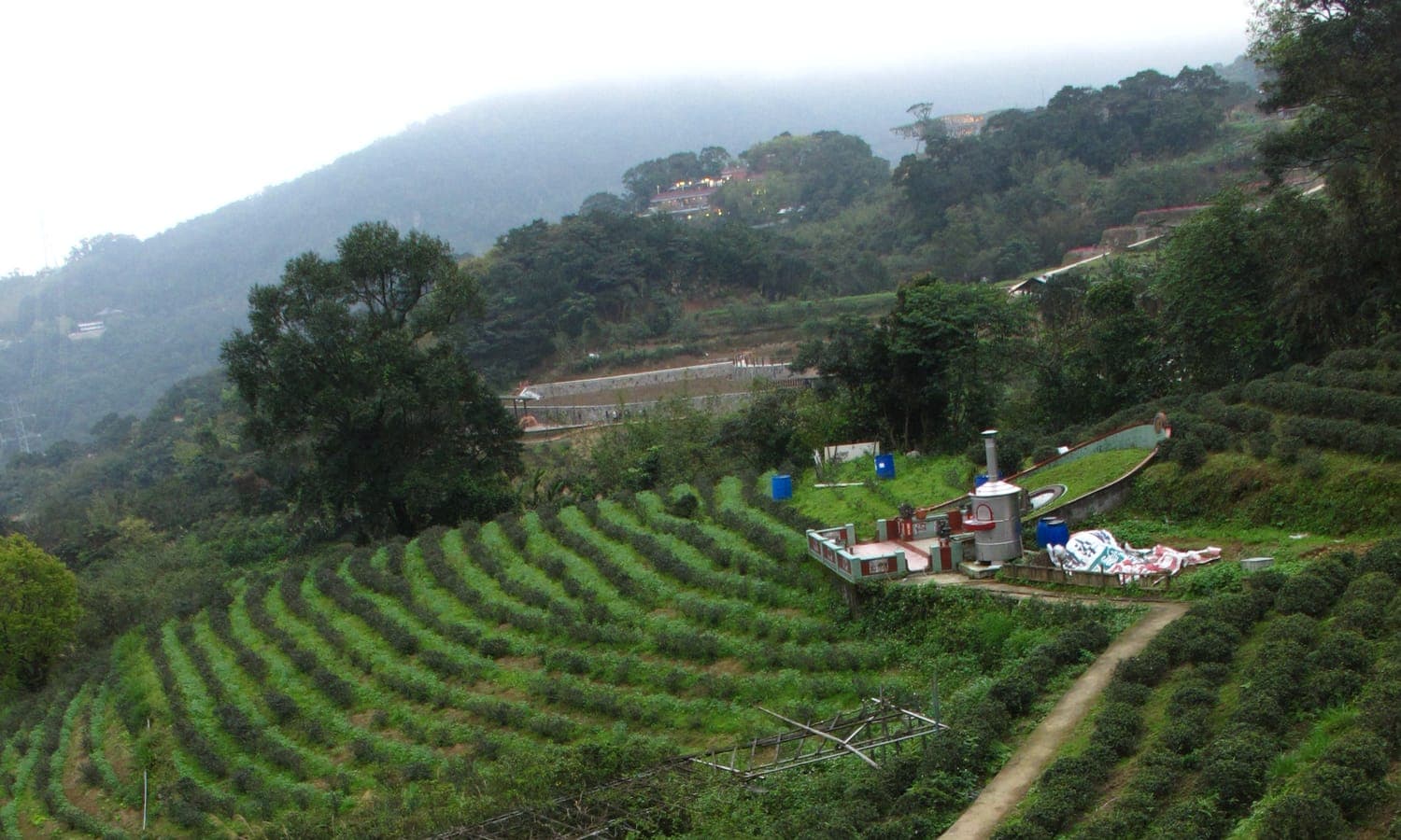 A Maokong Half-Day Itinerary