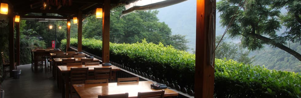Yaoyue Teahouse